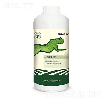 ��������ˮ�ܷ���-���}ǧ�t-�G���_