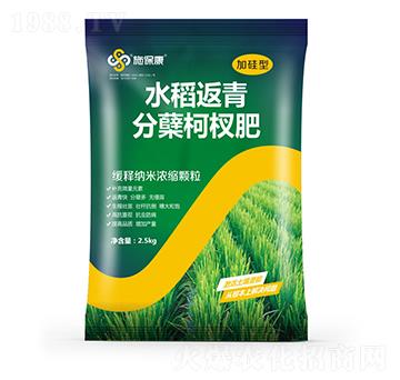 加硅型水稻返青分蘗柯杈肥-施?？? width=