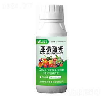 300g�������-������