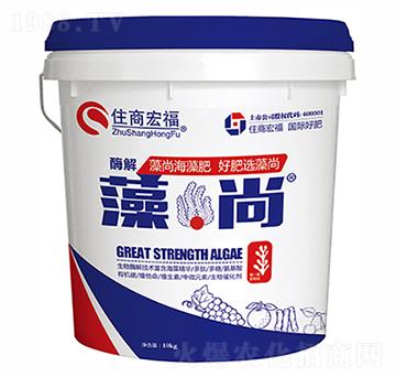 ����-ס�̺긣