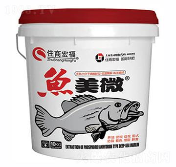 �~��΢-ס�̺긣