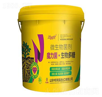 ΢�������-ħ�������������-��ķ��-���r(n��ng)����