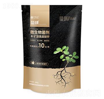 �����VԴ�S�����-���