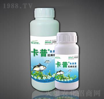 酶解魚蛋白葉面型-抗病抗逆-綠金高新