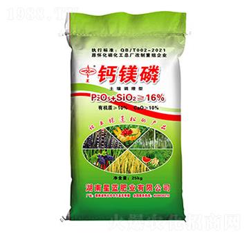 �����{(di��o)�����}�V��-���{(l��n)�ʘI(y��)