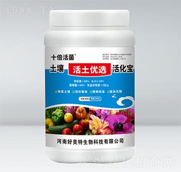 ���������������(y��u)�x��-ʮ�����-������