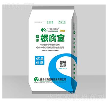 ����΢�������-��ȸ�����-ס�̇��H