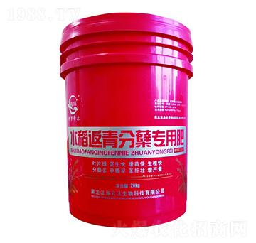 水稻返青分蘗專用肥-云沃生物