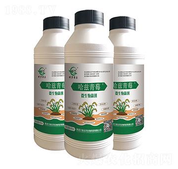 微生物菌劑（液體）-哈茲青莓-云沃生物