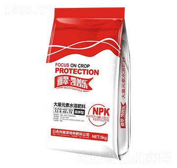 ����ʹ���Ԫ��ˮ�ܷ���12-8-40+TE-�P�՘�(l��)-�Ŵ�����