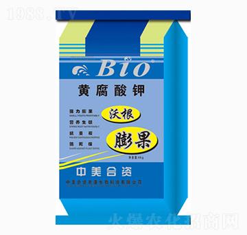 �S�����-�R���S�r(n��ng)�I(y��)