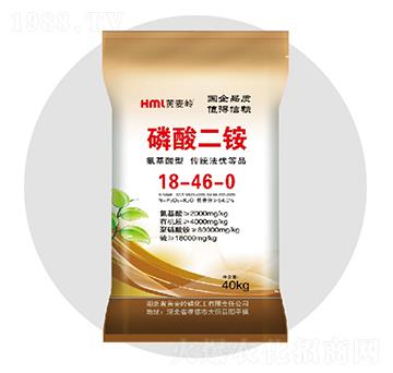 ������������@-�S���X