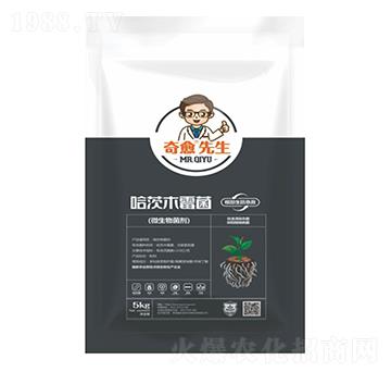 ����ľù��������������