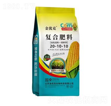 ��������������͏�(f��)�Ϸ���20-10-10-����(y��u)��