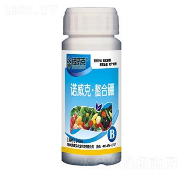 �Z���ˡ�������-�Z����