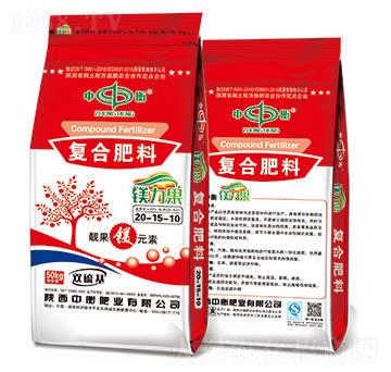 �V�����ͺϷ���20-15-10���p�����-�к�