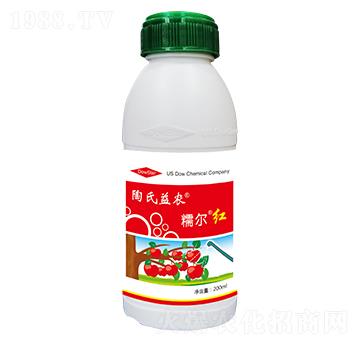 Ŵ���t-�������r(n��ng)