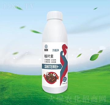 ���~��-�f(w��n)����-ʩ����