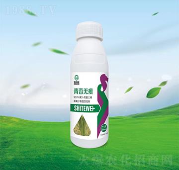 ��̦�o(w��)��-ʩ����