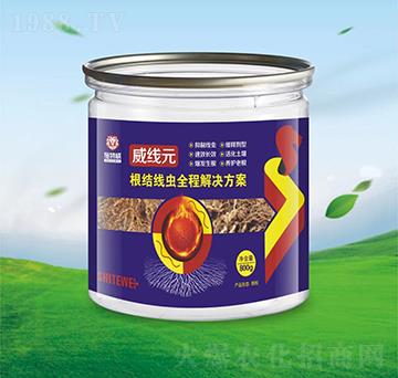 ���Y(ji��)��(xi��n)�x(ch��ng)ȫ�̽�Q����-����(xi��n)Ԫ-ʩ����