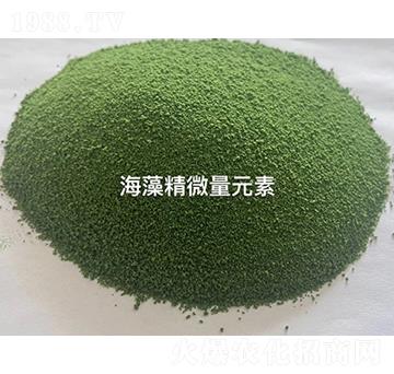 ���徫΢��Ԫ��-���u��������