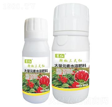 ��������t-ِ�t-���䌍�I(y��)