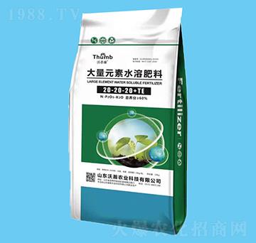 20kg����Ԫ��ˮ�ܷ�20-20-20+TE-������-����r(n��ng)�I(y��)