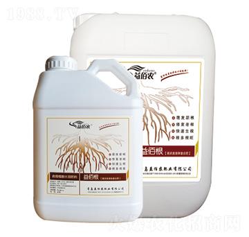 ΢�������-��۸�-��