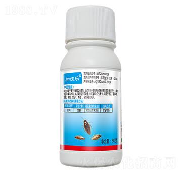 40%߻�x(ch��ng)��60g-��