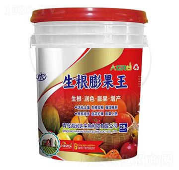 生根膨果王-海潤達生物