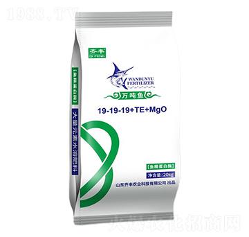 魚精蛋白酶大量元素水溶肥19-19-19+TE+MgO-萬(wàn)噸魚-齊豐農(nóng)業(yè)