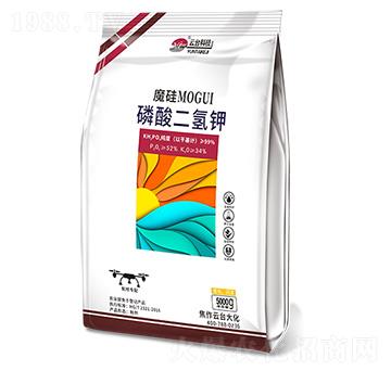 ħ����������5kg-