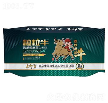 ��������������ĵ���-���ɹ�