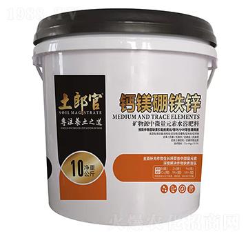 �}�V���F�\-���ɹ�