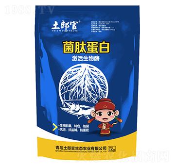 ���ĵ���-���ɹ�