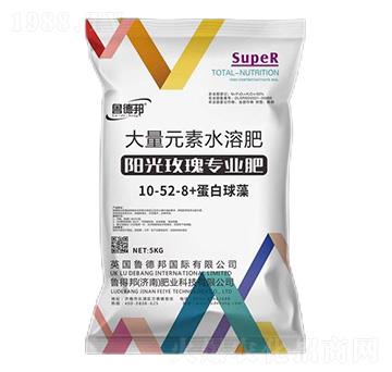 ꖹ�õ�匣�ô���Ԫ��ˮ�ܷ���10-52-8+��������-��?sh��)°? />
                                </div>
                            </div>
                            
                            <style type=
