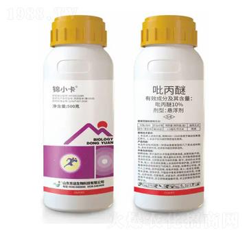 10%�����ёҸ���-�\