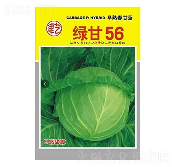 ���{�N��-�G��56-���S�r(n��ng)�I(y��)