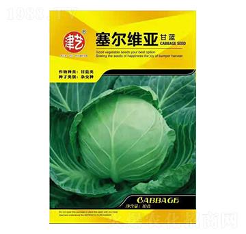 ���{�N��-ِ���S��-���S�r(n��ng)�I(y��)