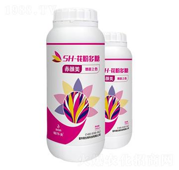 SH-���۶���-�����-���A��