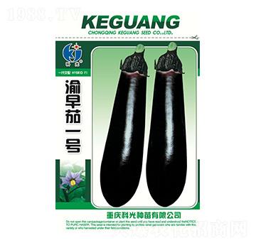 渝早茄1號-科光種苗