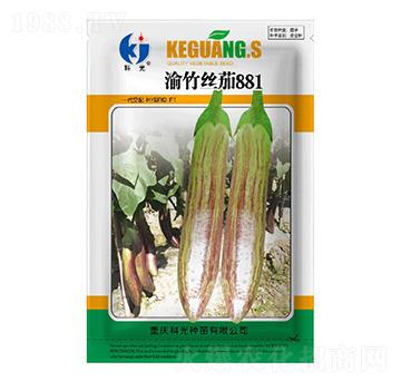 渝竹絲茄881-科光種苗