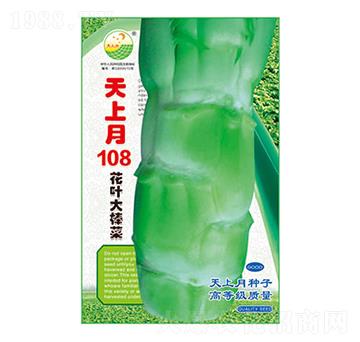 ���˷N��-������108-̫���N�I(y��)