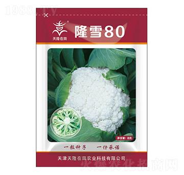 隆雪80-天隆在田-天隆農(nóng)業(yè)