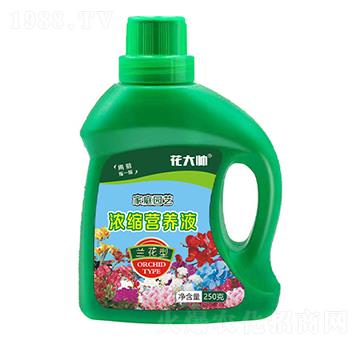 �m���ͼ�ͥ�@ˇ��s�I(y��ng)�B(y��ng)Һ-����-�G�ַʘI(y��)