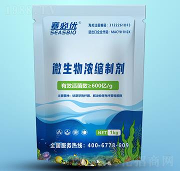 600�|΢�����s�Ƅ�-ِ�؃�(y��u)