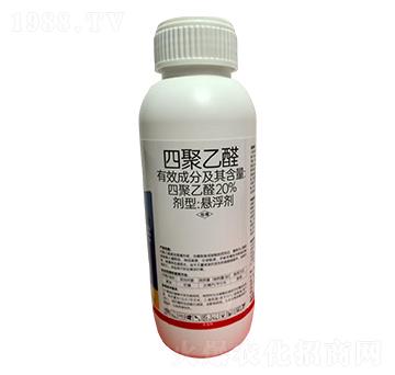 20%�ľ���ȩ-����ֲ��