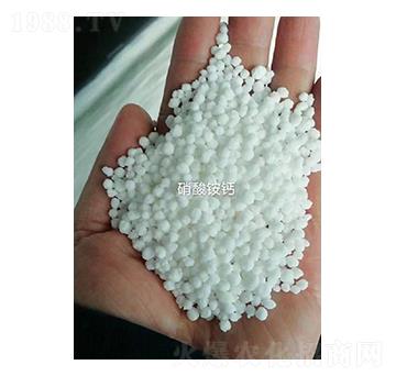 �����@�}-�Z�·ʘI(y��)