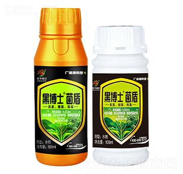 ����-�ڲ�ʿ-���S����