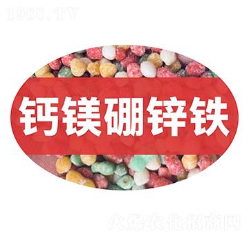 �}�V���\�F�w��-��M�}(c��ng)